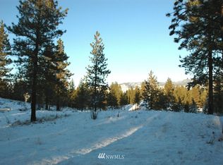 0 Appaloosa Rd, Winthrop, WA 98862