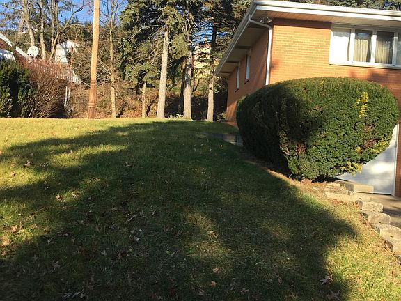 Left Side of house