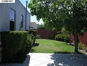 Rear Yard