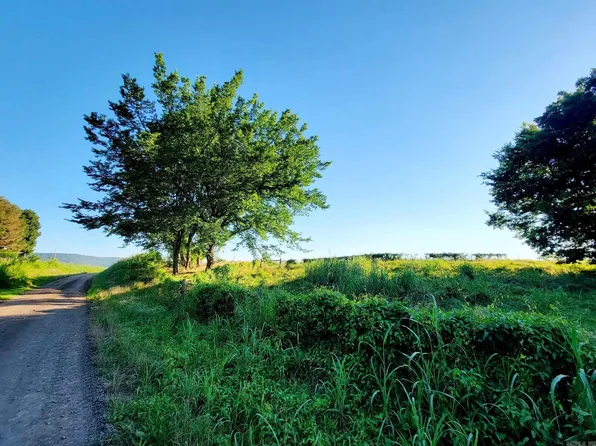 Lakeview Rd, Dardanelle, AR 72834