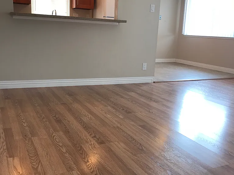 954 Palm Ave #3 — Photo 2