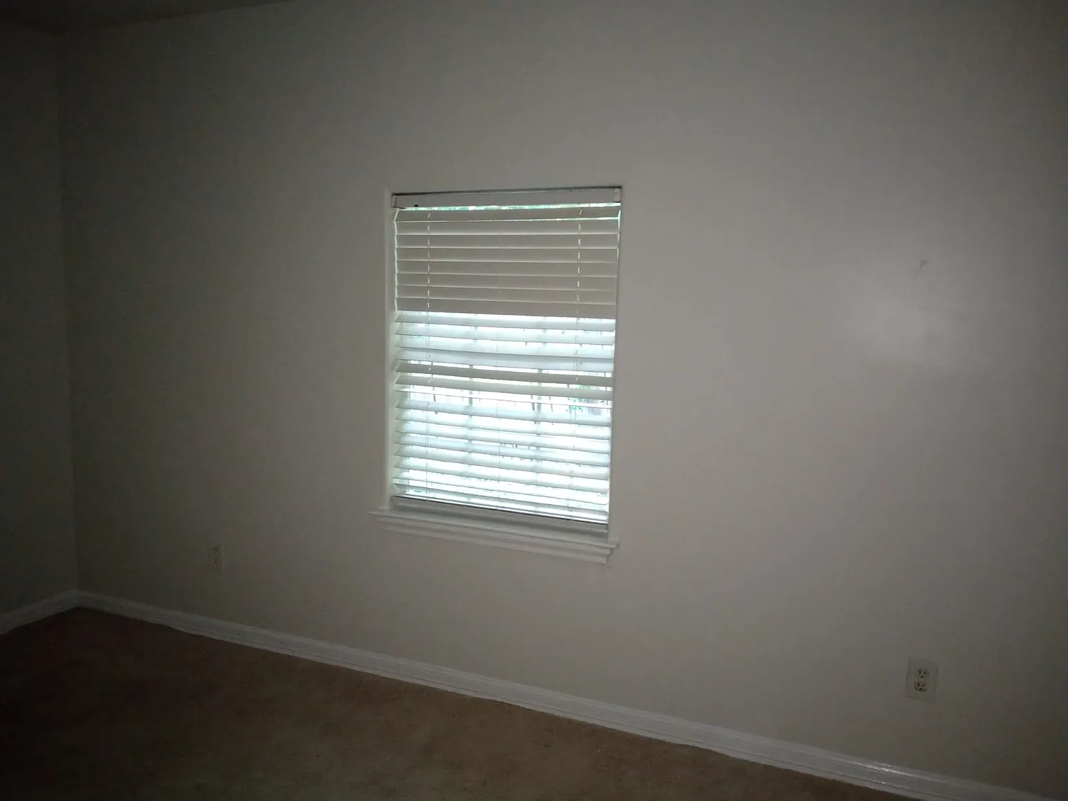 Ogden St, Houston — Photo 2