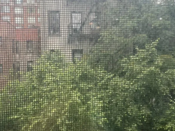 338 East 83rd Street image 5 of 6