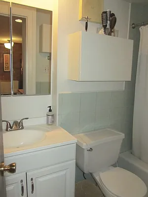 Rented by Brooklyn Properties | media 12