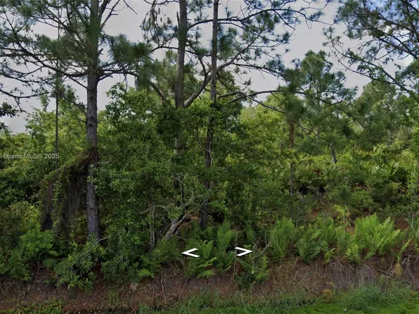 1008 Concorde Pkwy NW, Lake Placid, FL 33852