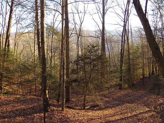 5th image of 4571 Highway 522