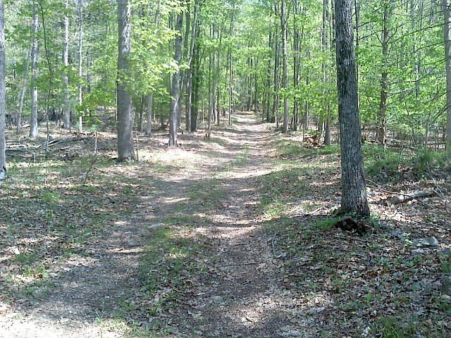 2nd image of 3650 Peake Mountain Rd