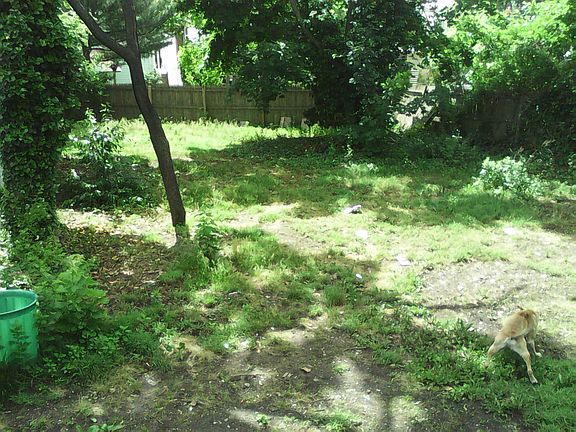 4th image of 2 Wellington Pl