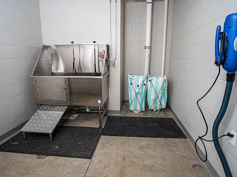 Pet Wash