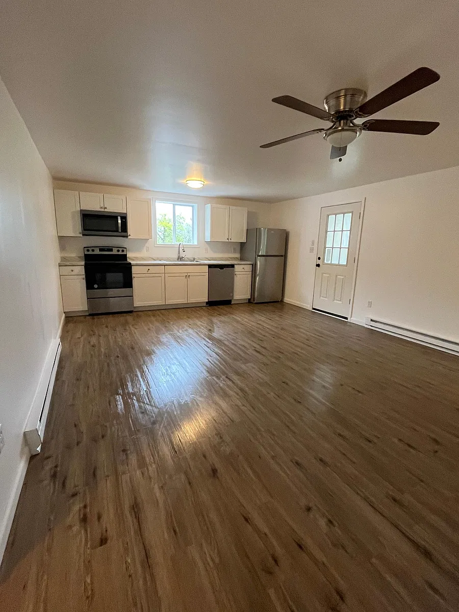 Kitchen/Living Room - 339 Hillside Ave