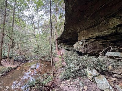 Banner Springs Rd, Jamestown, TN, 38556