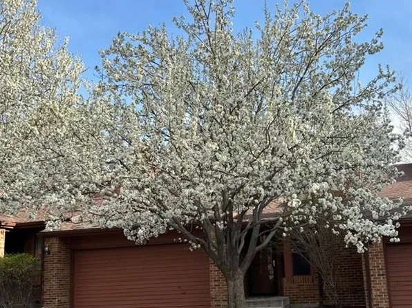 4851 Evening Sun Ln, Colorado Springs, CO 80917