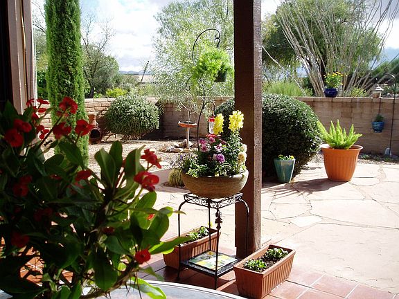 View from covered patio