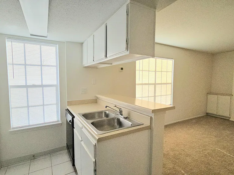 9100 Dr Martin Luther King Jr St N #1423 — Photo 9