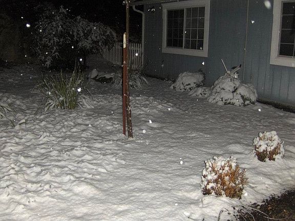 Winter snow