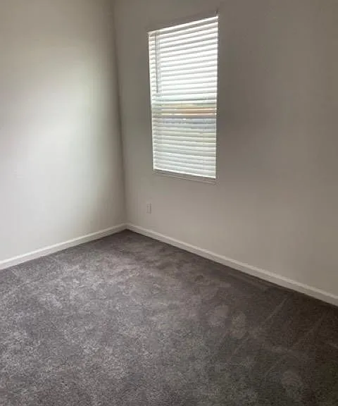 539 Potere Dr — Photo 30