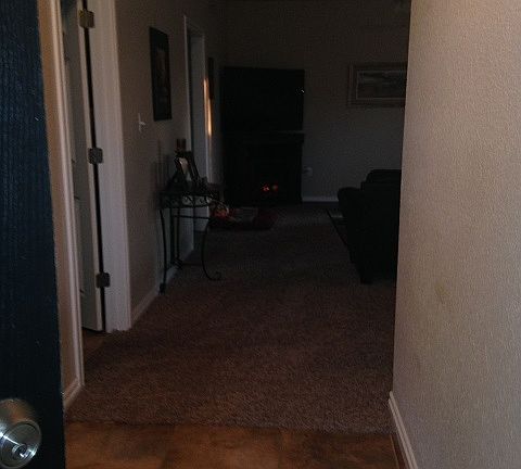 5th image of 503 Blake Dr