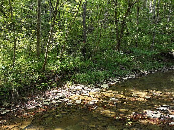 5th image of 0 Pleasant Grove Rd