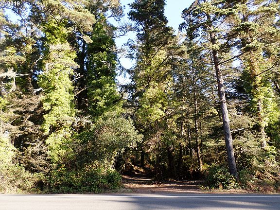 2nd image of 219 Pacific Hwy