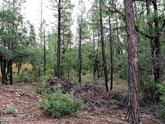 2nd image of Tbd S Pine Wood Ln