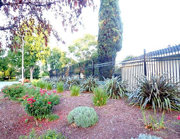1st image of 352 San Petra Ct APT 1