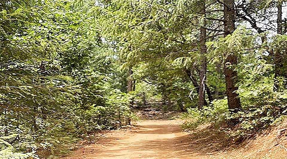 1st image of 15052 Red Hill Spring Rd #140