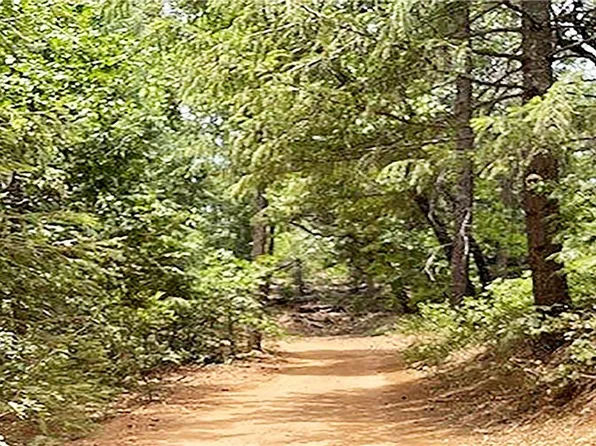 15052 Red Hill Spring Rd #140, Nevada City, CA 95959