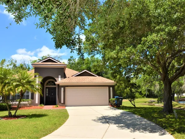 11106 Avery Oaks Dr, Tampa, FL 33625