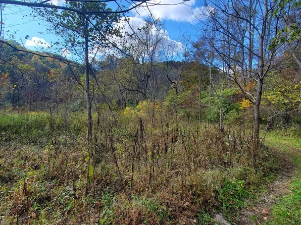 9999999 Highway 3446, Mc Kee, KY 40447