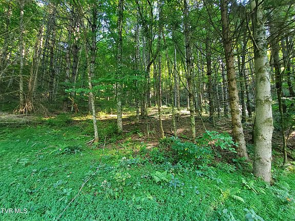 2nd image of 12 Laurel Highlands Rd #12