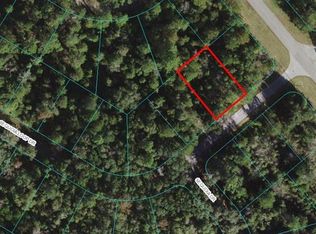 0 Sequoia Loop Dr #2, Ocklawaha, FL 32179