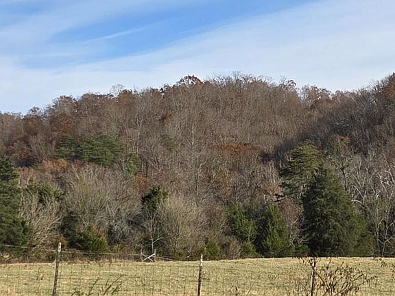 3rd image of 355 N Austin Springs Rd