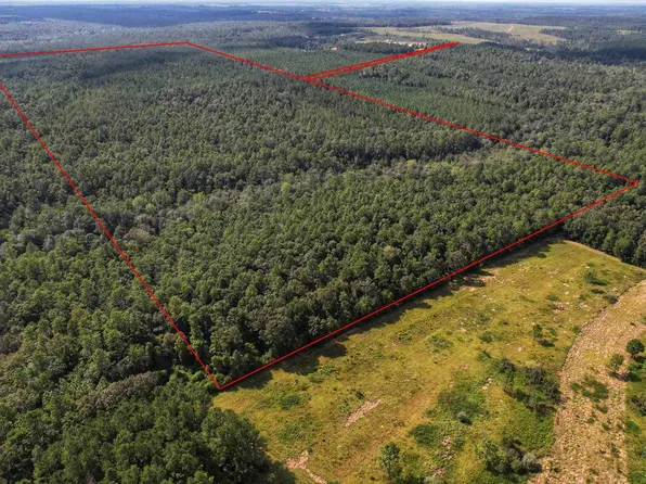 0 Highway 168, Century, FL 32535