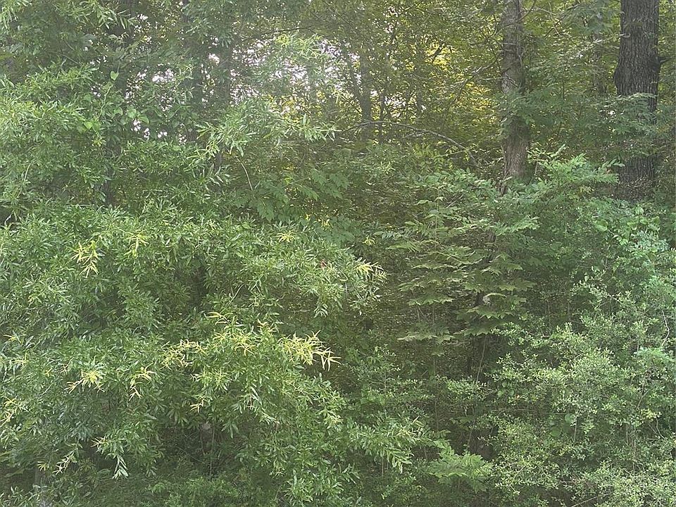 1st image of Knottypine Lot 34