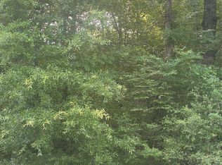 Knottypine LOT 34, Livingston, TX 77351