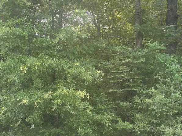 Knottypine Lot 34, Livingston, TX 77351