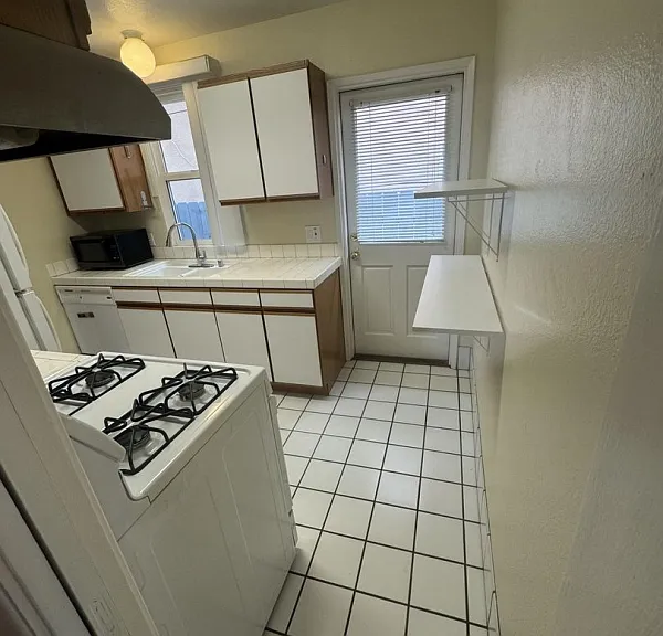 1351 Felspar St — Photo 6