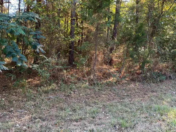 Fm 2796 N & S, Gilmer, TX 75644