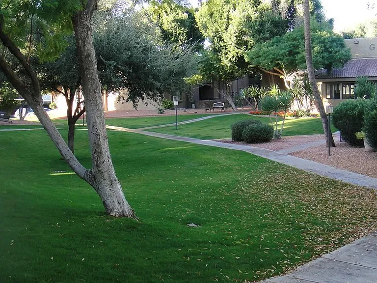 3825 E Camelback Rd #217 — Photo 6