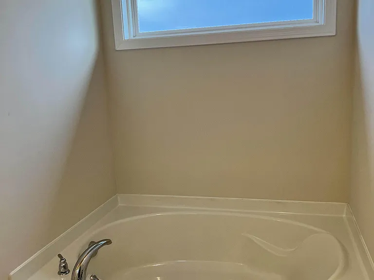 Master Bathroom Tub