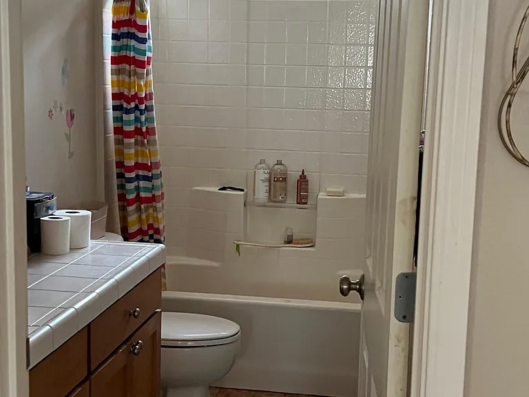 Guest bathroom