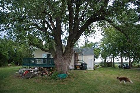 Lots of shade! (west side)