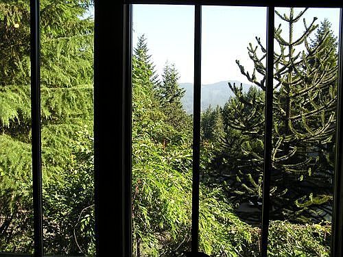 View from Fam room