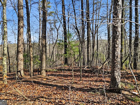 2nd image of 0 Winters Mountain Rd