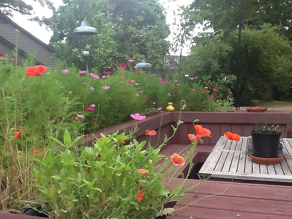 Deck Area