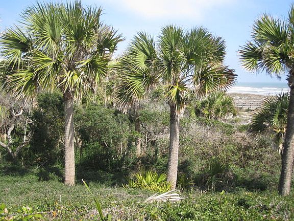 3rd image of 5 Seminole Reach Dr