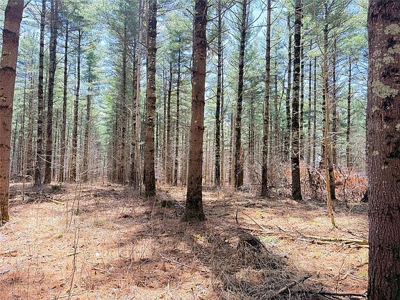 3rd image of 20 Acres Star Lake Road