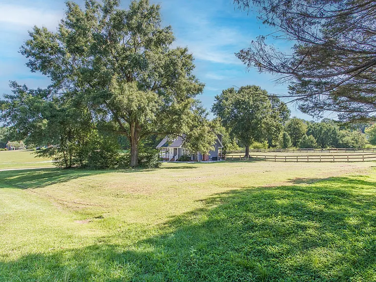Fenced Back Yard