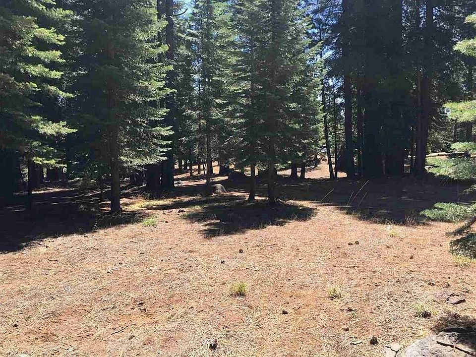 2nd image of 310 Raccoon Trl