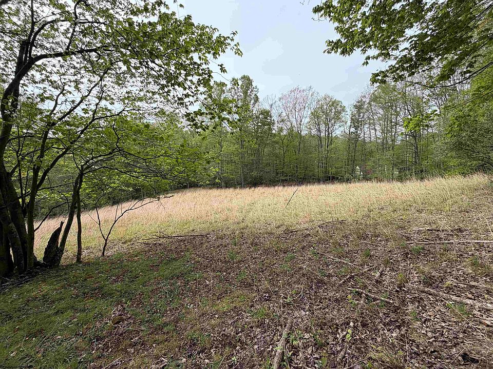 46th image of 2494 Seng Run Rd